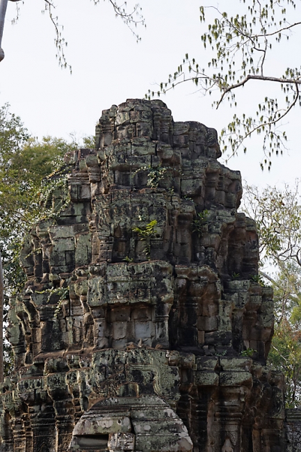 Ta Phrom et environs-115